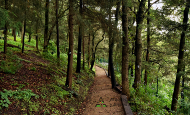 Espectacular PH en Venta (Tres Cumbres)