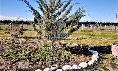 Parcela en Venta en Quillay