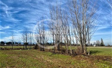 Agrícola en Venta en Villa Rosa, Parral