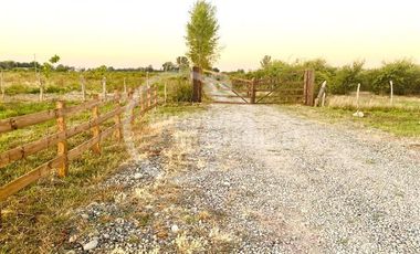 Parcela en Venta en Villa Rosa, Parral