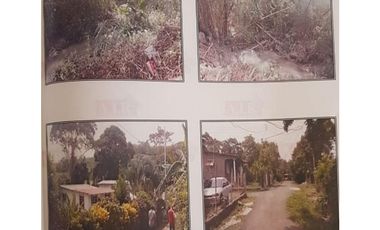 Venta: Lote de 2000m2 en La Chorrera