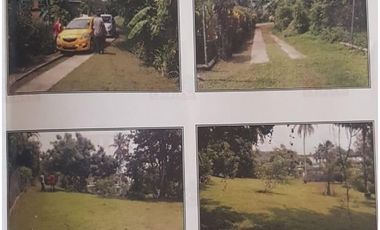 Venta: Lote de 2000m2 en La Chorrera