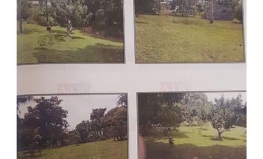 Venta: Lote de 2000m2 en La Chorrera