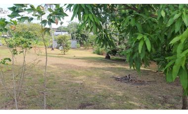 Venta: Lote de 2000m2 en La Chorrera