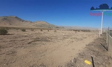 Agrícola en Venta en Sitio en venta sector Chamonate