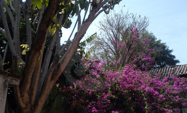 Finca en venta en Pueblo Ixcatepec