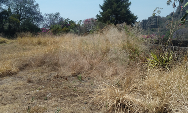 Finca en venta en Pueblo Ixcatepec
