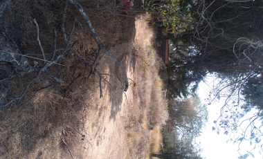 Finca en venta en Pueblo Ixcatepec