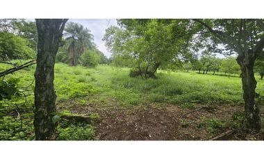 VENDO.5000 METROS EN. URB SAN.ANTONIO DAVID