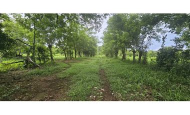 VENDO.5000 METROS EN. URB SAN.ANTONIO DAVID