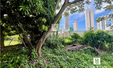 VENTA DE LOTE PARA DESARROLLO EN VIA PRINCIPAL, SAN FRANCISCO (8)