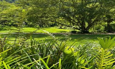 FINCA AMOBLADA EN VENTA UBICADA EN TITIRIBI SECTOR LA SIRIA