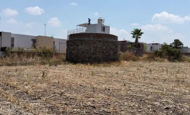 TERRENOS EN RENTA O APORTACION  MUNICIPIO DE AYALA, MORELOS