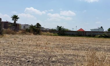 TERRENOS EN RENTA O APORTACION  MUNICIPIO DE AYALA, MORELOS