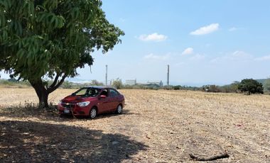 TERRENOS EN RENTA O APORTACION  MUNICIPIO DE AYALA, MORELOS