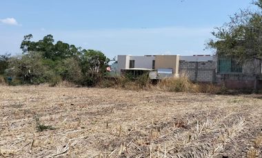 TERRENOS EN RENTA O APORTACION  MUNICIPIO DE AYALA, MORELOS