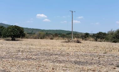 TERRENOS EN RENTA O APORTACION  MUNICIPIO DE AYALA, MORELOS