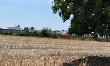 TERRENOS EN RENTA O APORTACION  MUNICIPIO DE AYALA, MORELOS