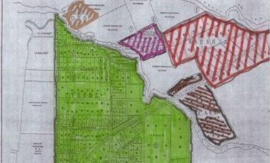 TERRENOS EN RENTA O APORTACION  MUNICIPIO DE AYALA, MORELOS