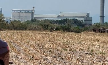 TERRENOS EN RENTA O APORTACION  MUNICIPIO DE AYALA, MORELOS