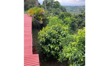 Se Vende Finca abordo de carretera en Ulloa Valle