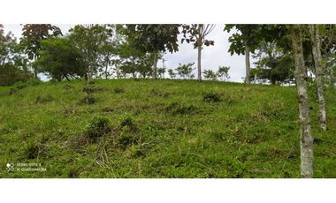 SE VENDEN LOTES EN ARABIA AREAS DESDE 1100 M2 HASTA 8798 M2