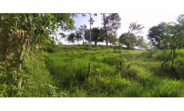 SE VENDEN LOTES EN ARABIA AREAS DESDE 1100 M2 HASTA 8798 M2