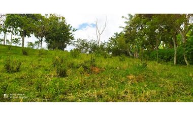 SE VENDEN LOTES EN ARABIA AREAS DESDE 1100 M2 HASTA 8798 M2