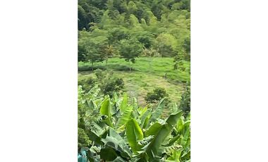 SE VENDEN LOTES EN ARABIA AREAS DESDE 1100 M2 HASTA 8798 M2