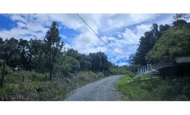 VENDO.FINCA EN JARAMILLO.7 HAS