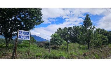 VENDO.FINCA EN JARAMILLO.7 HAS