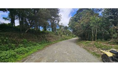 VENDO.FINCA EN JARAMILLO.7 HAS