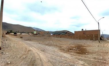 Terrenos Rusticos Venta Proyecto Parque Porcino Valle Chillon - VENTANILLA