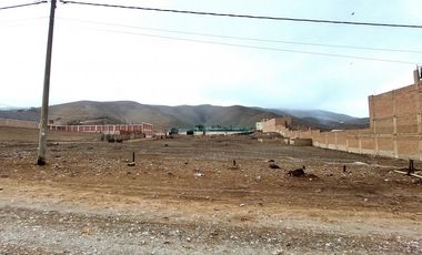 Terrenos Rusticos Venta Proyecto Parque Porcino Valle Chillon - VENTANILLA