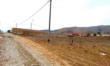 Terrenos Rusticos Venta Proyecto Parque Porcino Valle Chillon - VENTANILLA