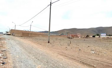 Terrenos Rusticos Venta Proyecto Parque Porcino Valle Chillon - VENTANILLA