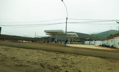 Terrenos Rusticos Venta Proyecto Parque Porcino Valle Chillon - VENTANILLA