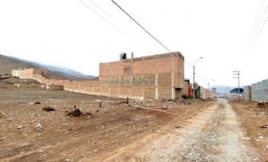 Terrenos Rusticos Venta Proyecto Parque Porcino Valle Chillon - VENTANILLA