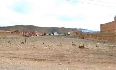 Terrenos Rusticos Venta Proyecto Parque Porcino Valle Chillon - VENTANILLA