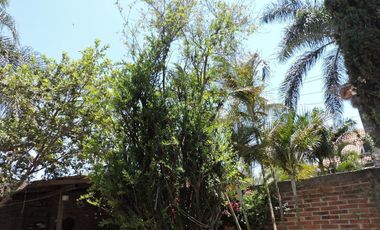 VENTA DE CASA DE CAMPO RUSTICA EN LA RIVERA DE CHAPALA