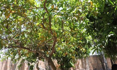 VENTA DE CASA DE CAMPO RUSTICA EN LA RIVERA DE CHAPALA