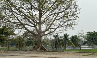 Fraccionamiento El Country Terreno residencial en venta en Fraccionamiento El Country