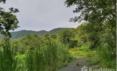 Land for sale in On Klang, Chiang Mai