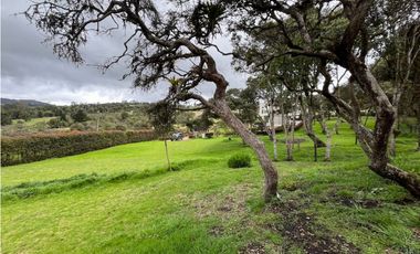 Vendo linda casa campestre con zona verde  y  espectacular vista