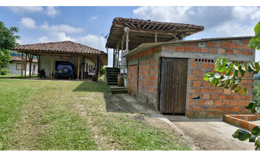 SE VENDE FINCA EN CHINCHINA PRODUCTIVA  AREA 38 CUADRAS