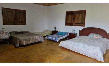 SE VENDE FINCA EN CHINCHINA PRODUCTIVA  AREA 38 CUADRAS