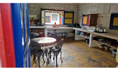 SE VENDE FINCA EN CHINCHINA PRODUCTIVA  AREA 38 CUADRAS