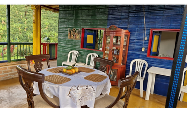 SE VENDE FINCA EN CHINCHINA PRODUCTIVA  AREA 38 CUADRAS