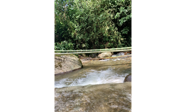 SE VENDE FINCA EN CHINCHINA PRODUCTIVA  AREA 38 CUADRAS