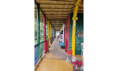 SE VENDE FINCA EN CHINCHINA PRODUCTIVA  AREA 38 CUADRAS